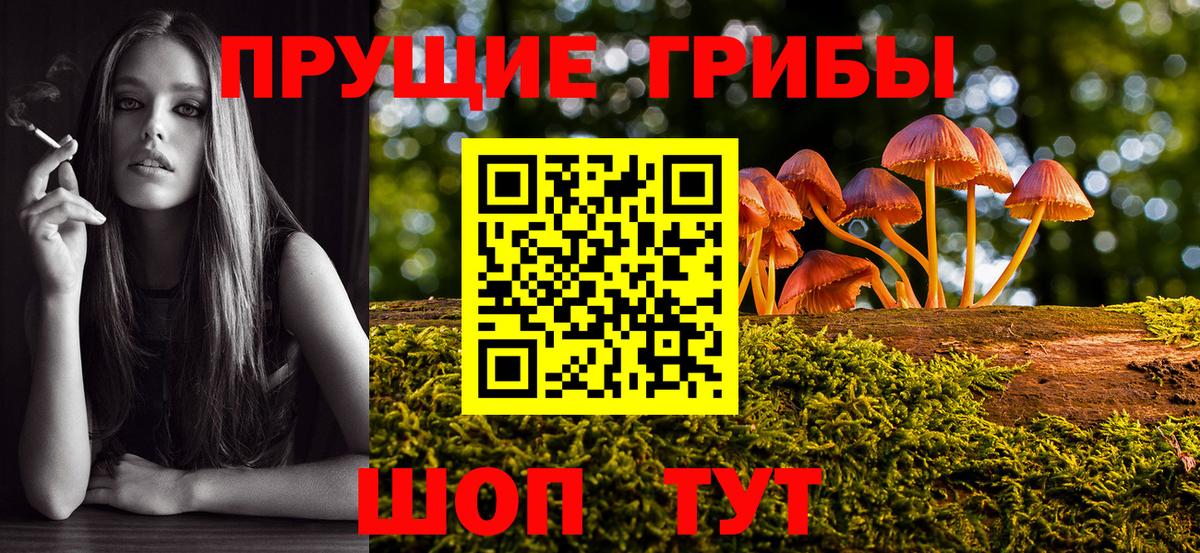 Курган  Галлюциногенные грибы Cubensis  Псилоцибиновые грибы ЛСД  Вход с VPN 