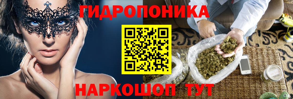Бошки марихуана Ganja Курган